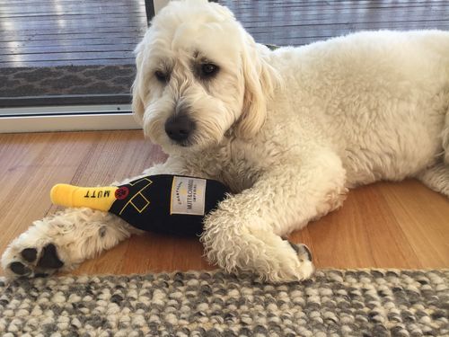 Dog Plush Champagne Chew Toy